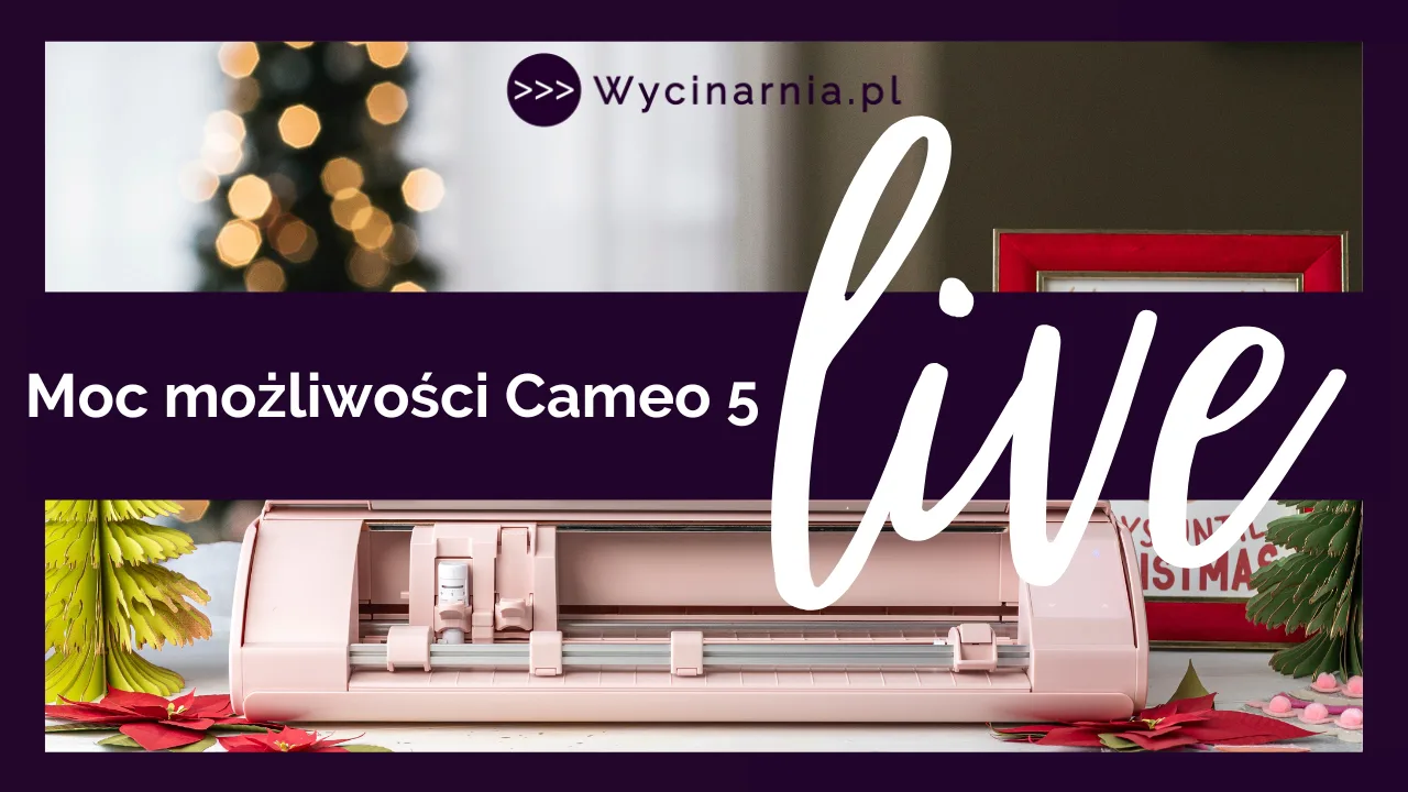 CONTEST RULES “Quick Answer – Live from 21.11.2025”